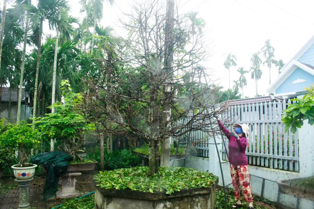 nha vuon 10 (1 of 1).jpg