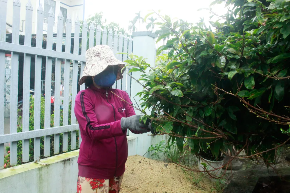 nha vuon 7 (1 of 1).jpg