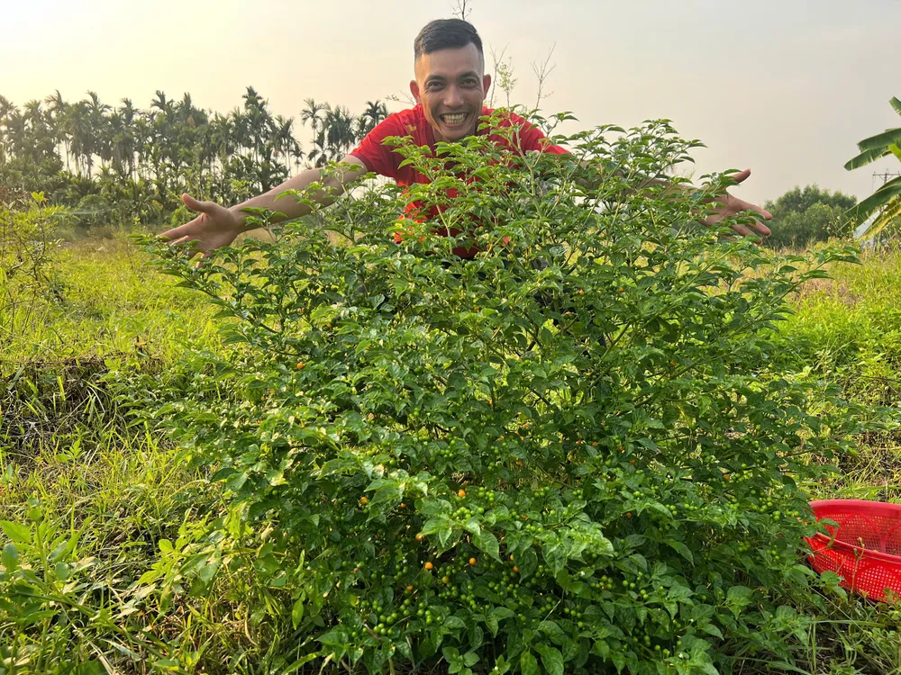 khởi nghiệp (10).jpg