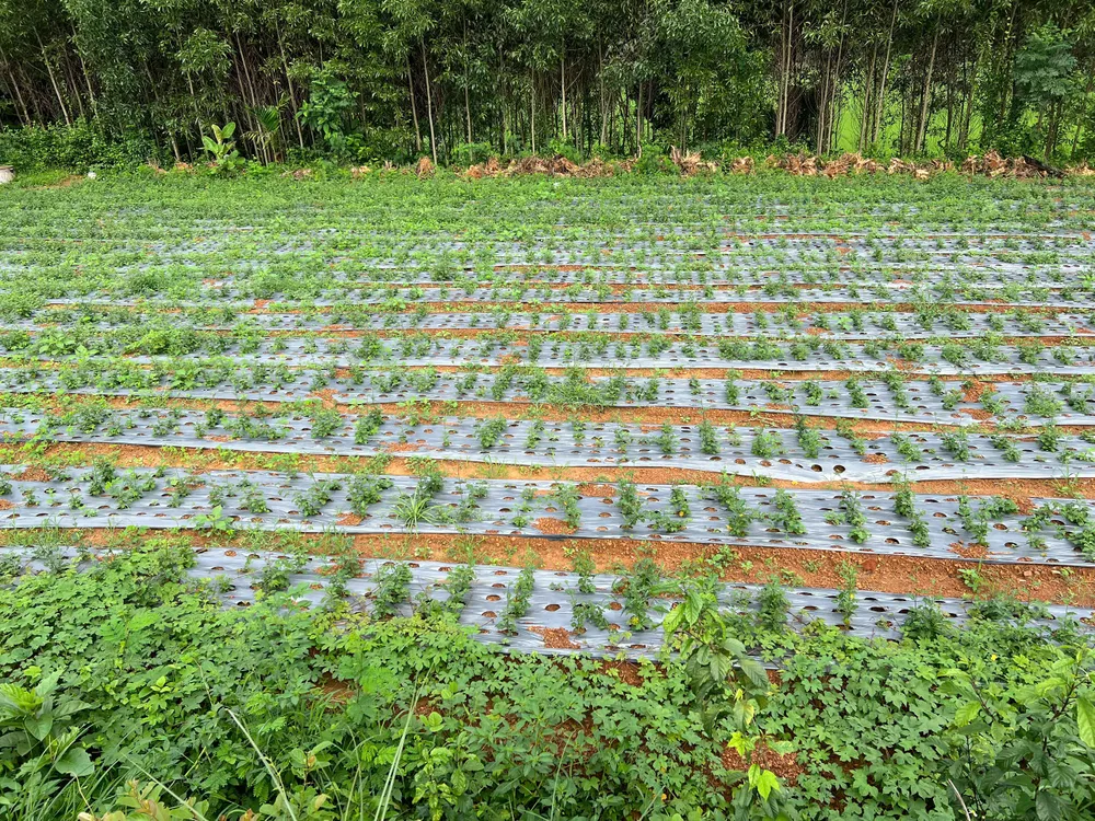 khởi nghiệp (2).jpg