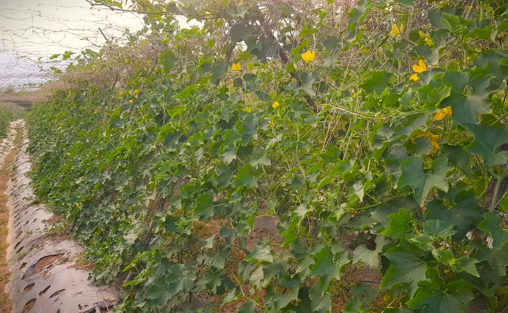 khởi nghiệp (5).jpg