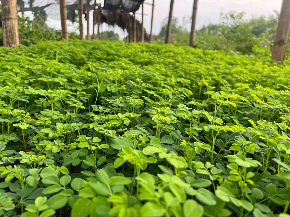 khởi nghiệp (7).jpg