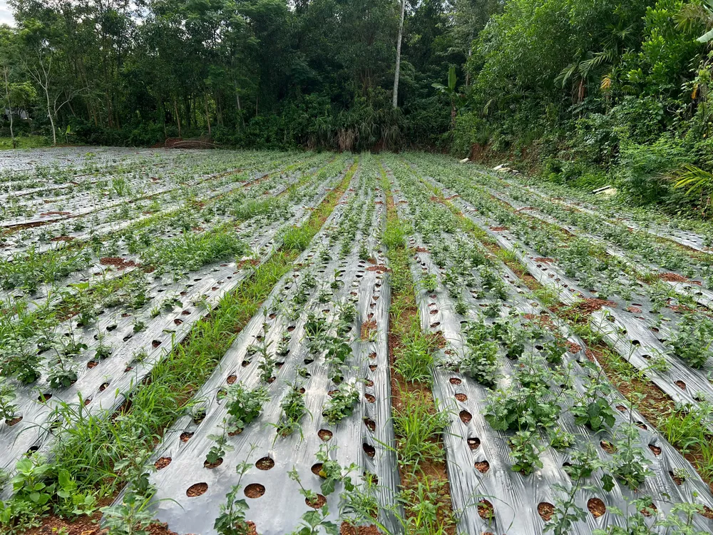 khởi nghiệp (8).jpg