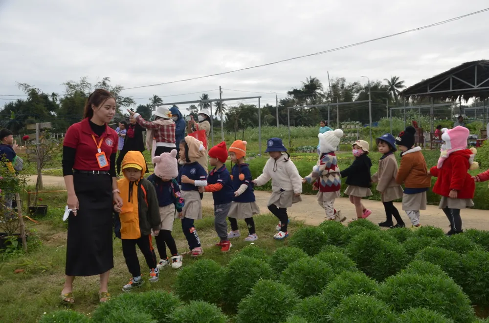 canh dong hoa nguyen trang (5).JPG