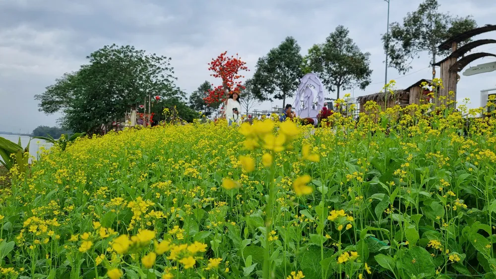 sông trà khúc (13).jpg