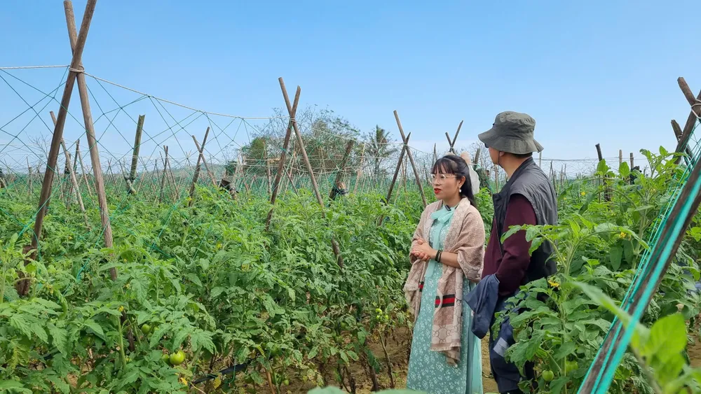 sông trà khúc (3).jpg