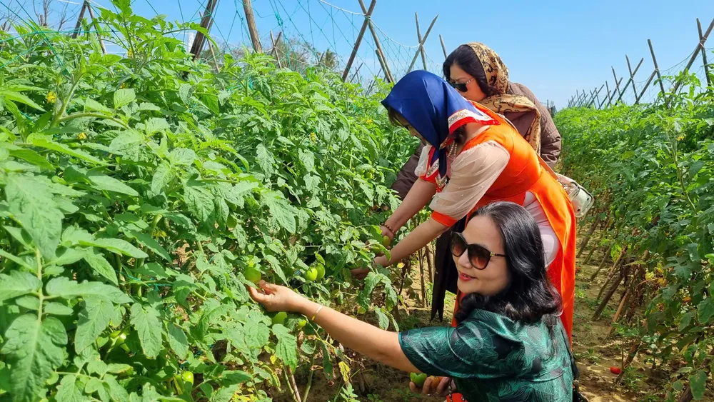 sông trà khúc (4).jpg