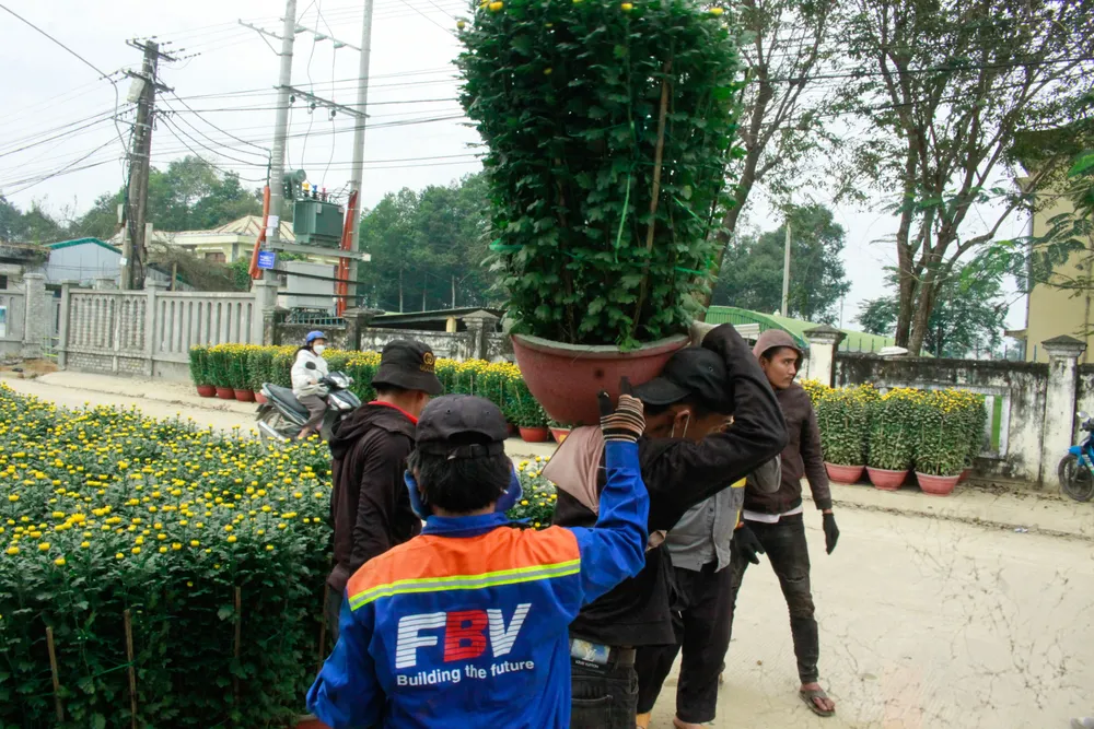 lang hoa vao tet 16 (1 of 1).jpg