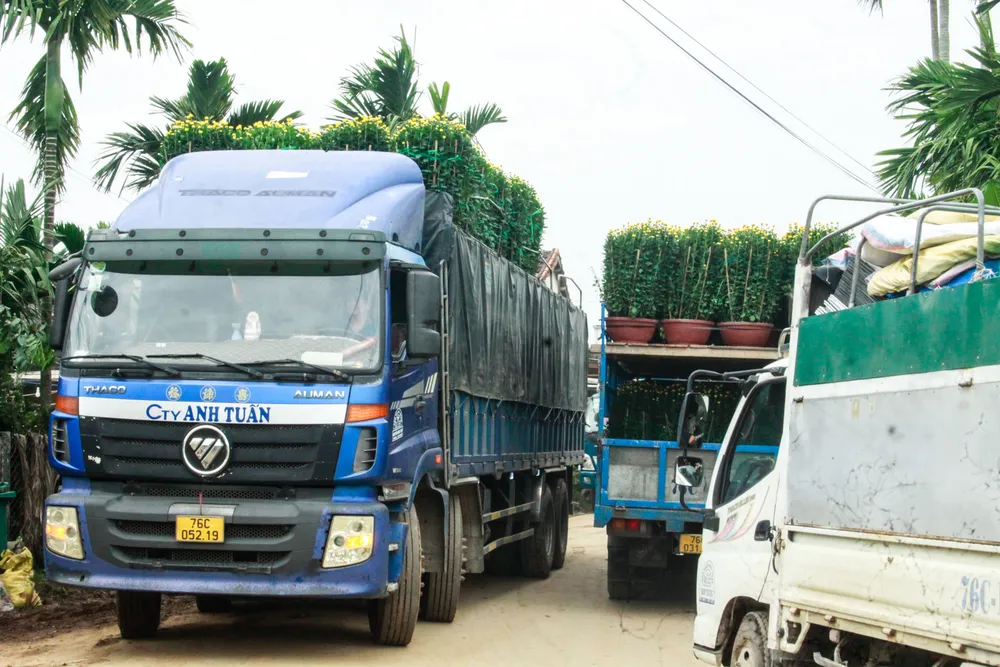 lang hoa vao tet 2 (1 of 1).jpg