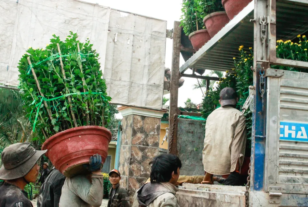 lang hoa vao tet 4 (1 of 1).jpg