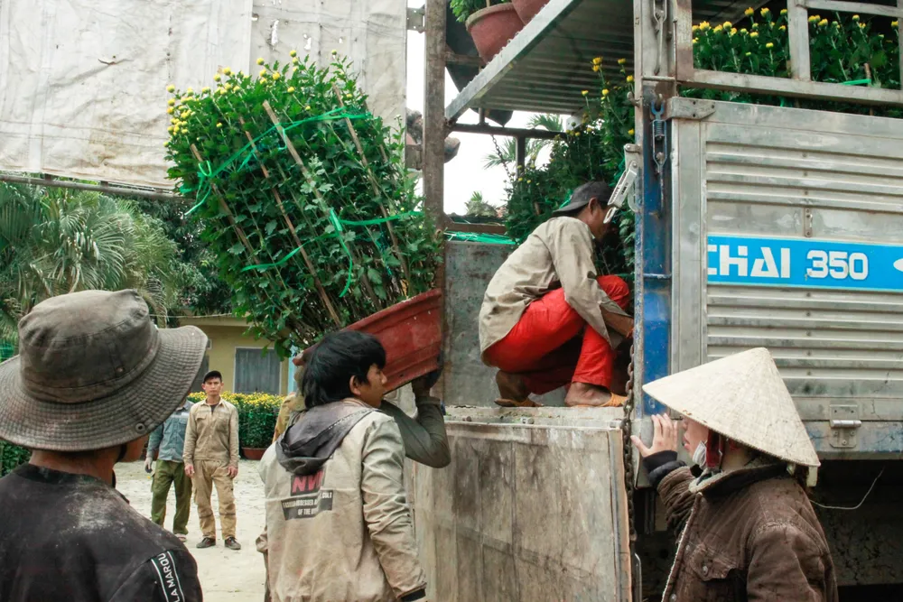 lang hoa vao tet 9 (1 of 1).jpg