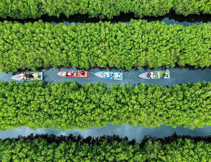 bàu cá cái (2).jpg