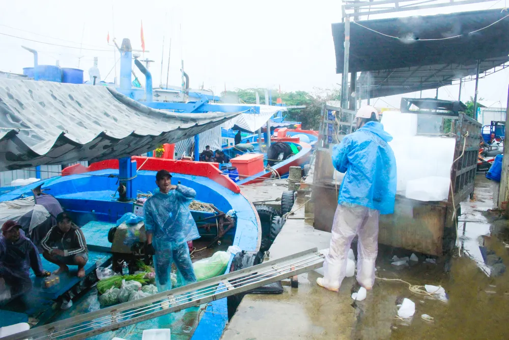 tau ca 1 (1 of 1).jpg