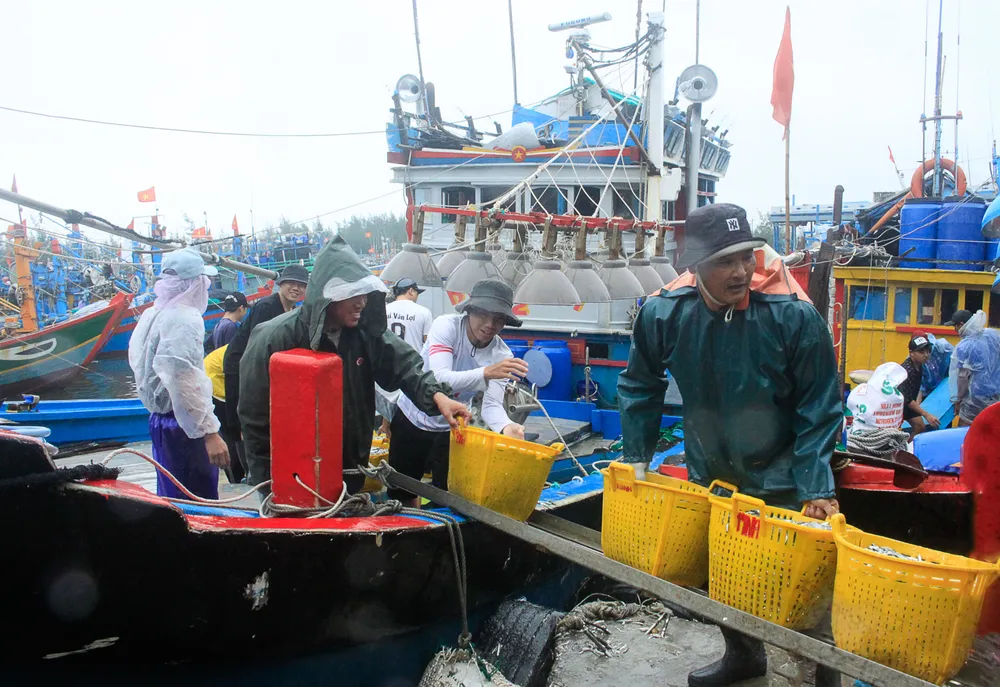 tau ca 3 (1 of 1).jpg