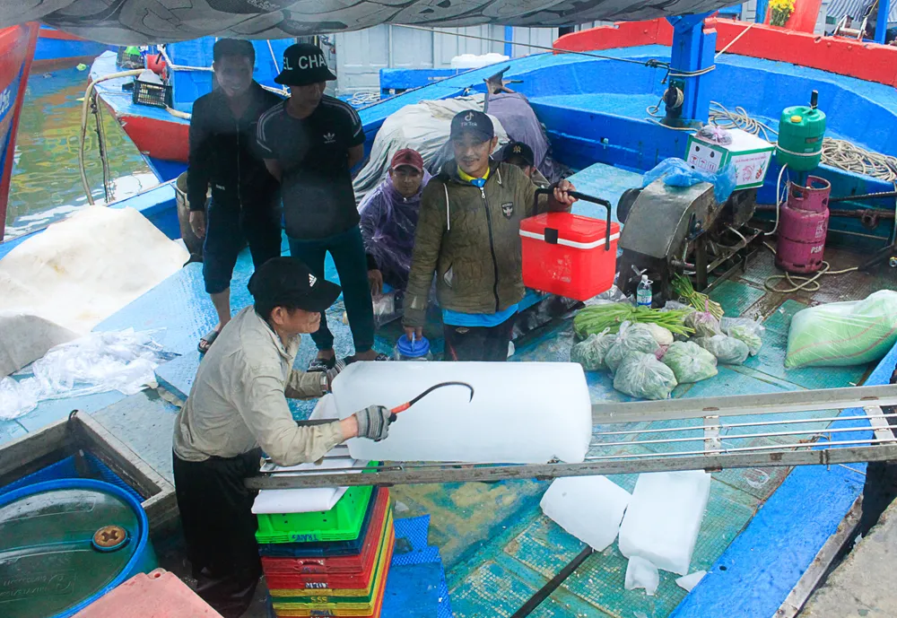 tau ca 5 (1 of 1).jpg