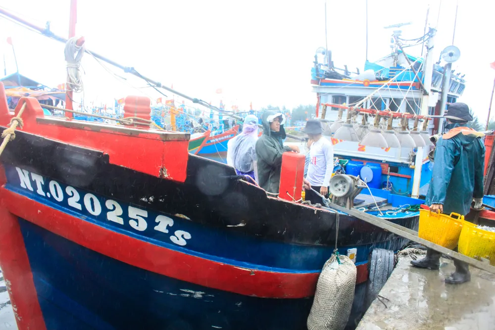 tau ca 6 (1 of 1).jpg