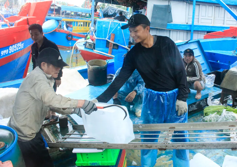 tau ca 7 (1 of 1).jpg