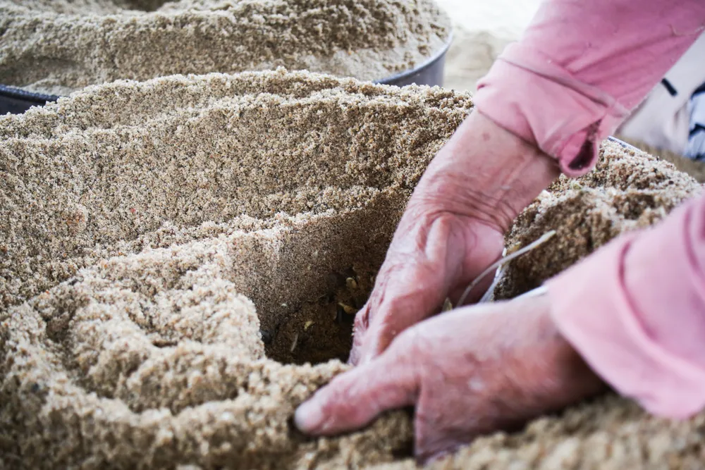 lam dau gia 19 (1 of 1).jpg