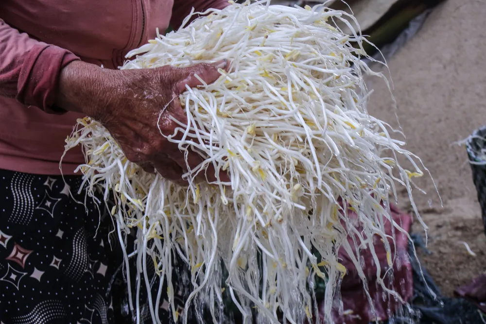 lam dau gia 22 (1 of 1).jpg