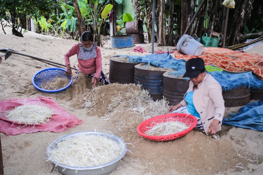 lam dau gia 9 (1 of 1).jpg