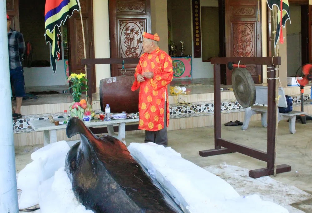 cá voi 1 (1 of 1).jpg