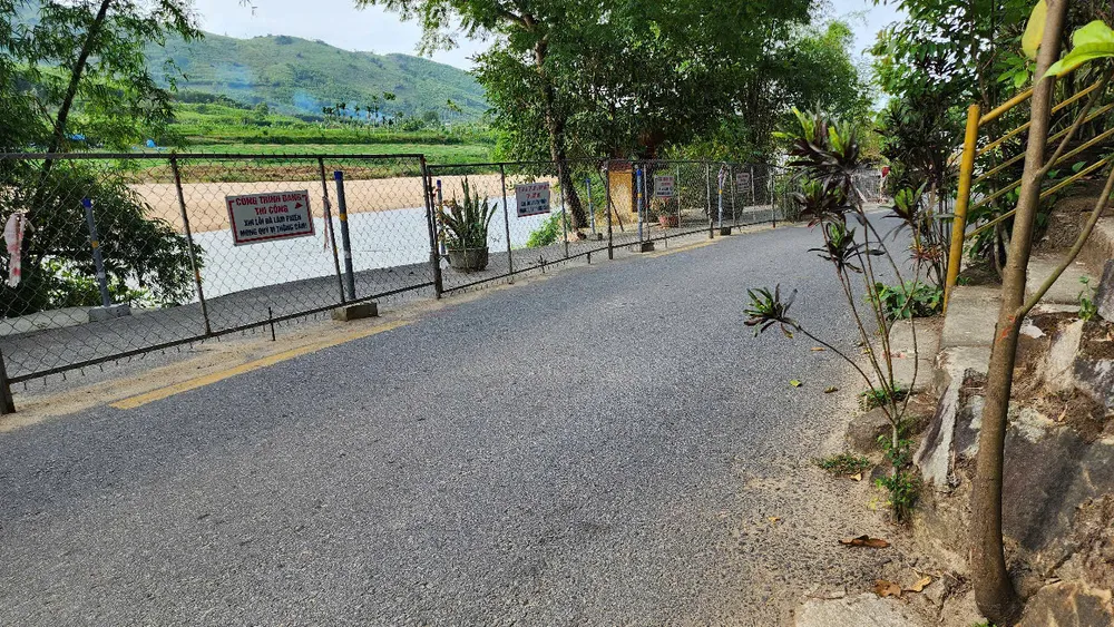 dương tinh lo (11).jpg