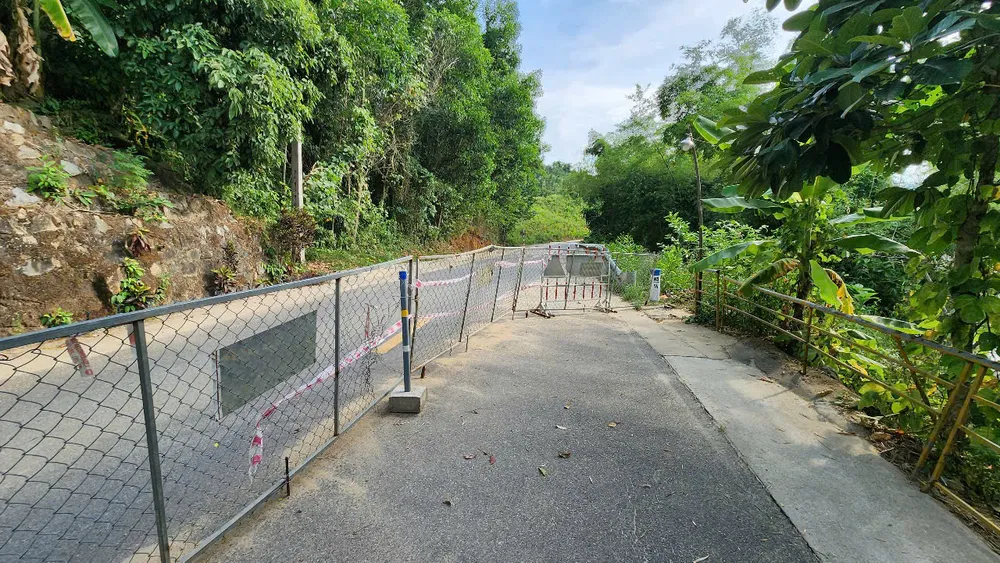 dương tinh lo (5).jpg