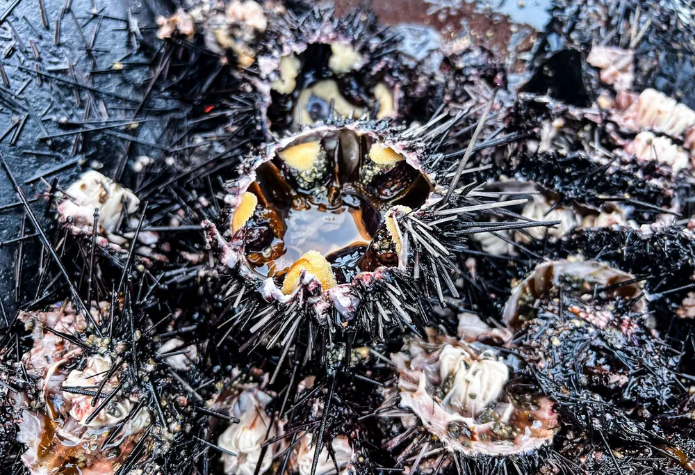 bia anh (1 of 1).jpg