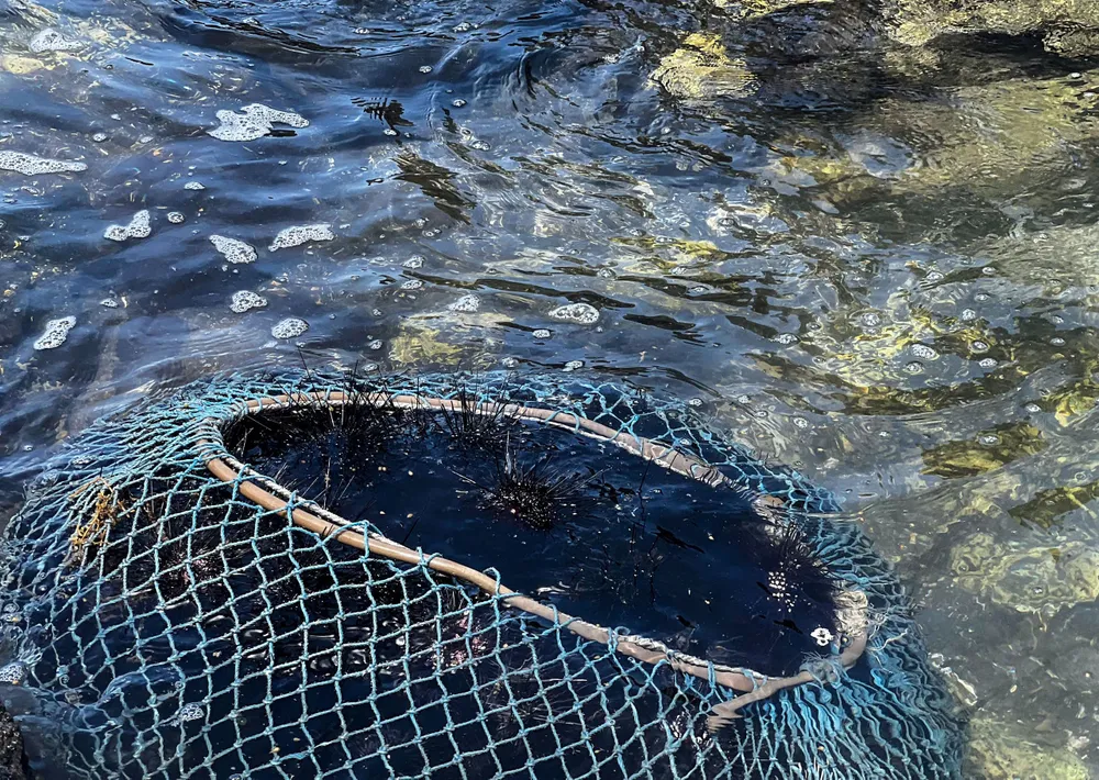 san nhum 1 (1 of 1).jpg