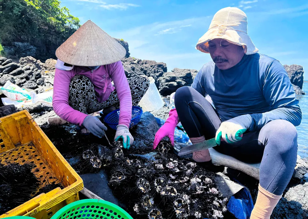 san nhum 13 (1 of 1).jpg