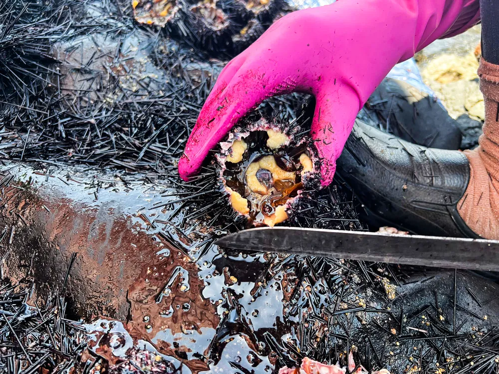 san nhum 16 (1 of 1).jpg