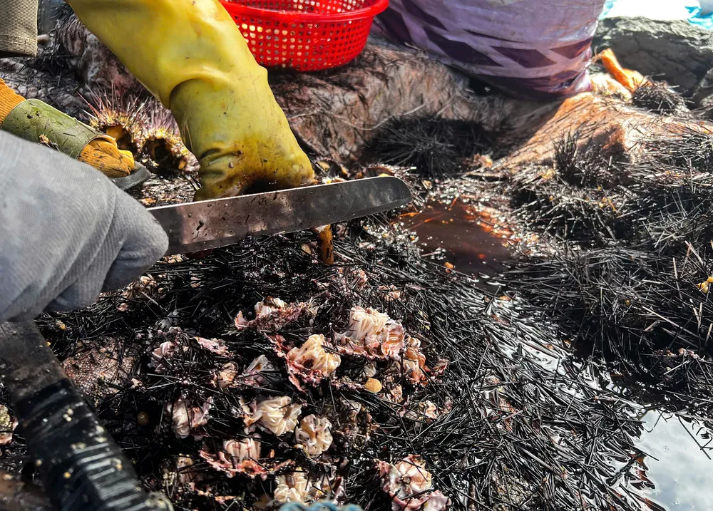 san nhum 2 (1 of 1).jpg