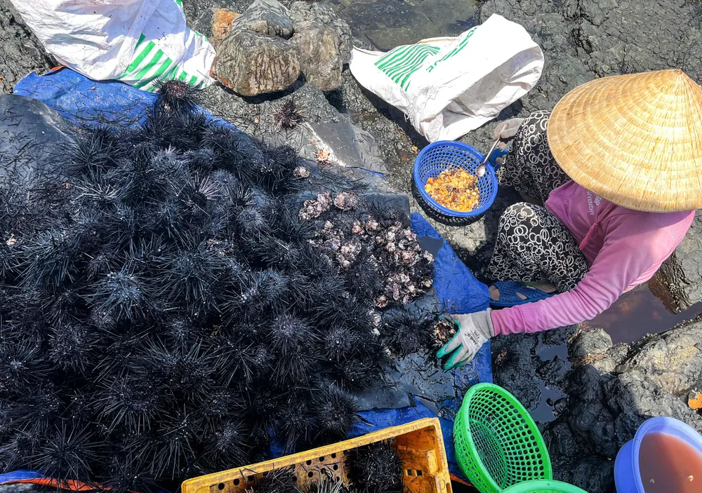 san nhum 8 (1 of 1).jpg