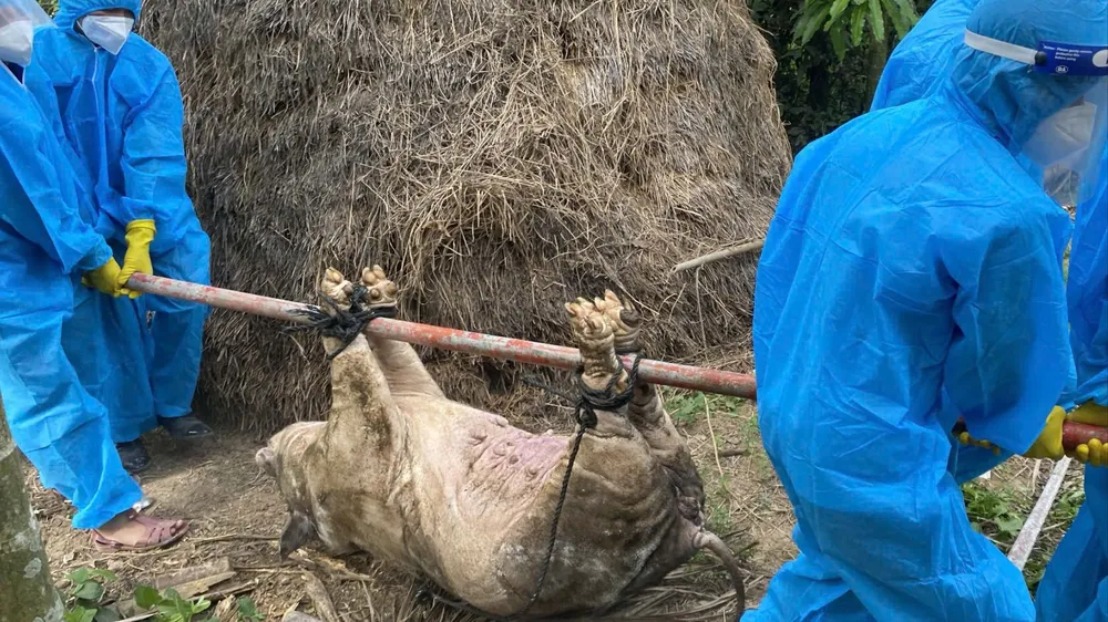 truong quang trong.jpg