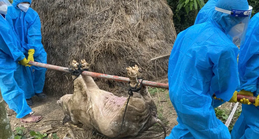 truong quang trong.jpg