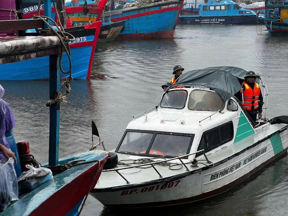 Biên phòng kiểm tra việc neo đậu tàu cá ở cảng cá Tịnh Hòa. Ảnh: NGUYỄN TRANG