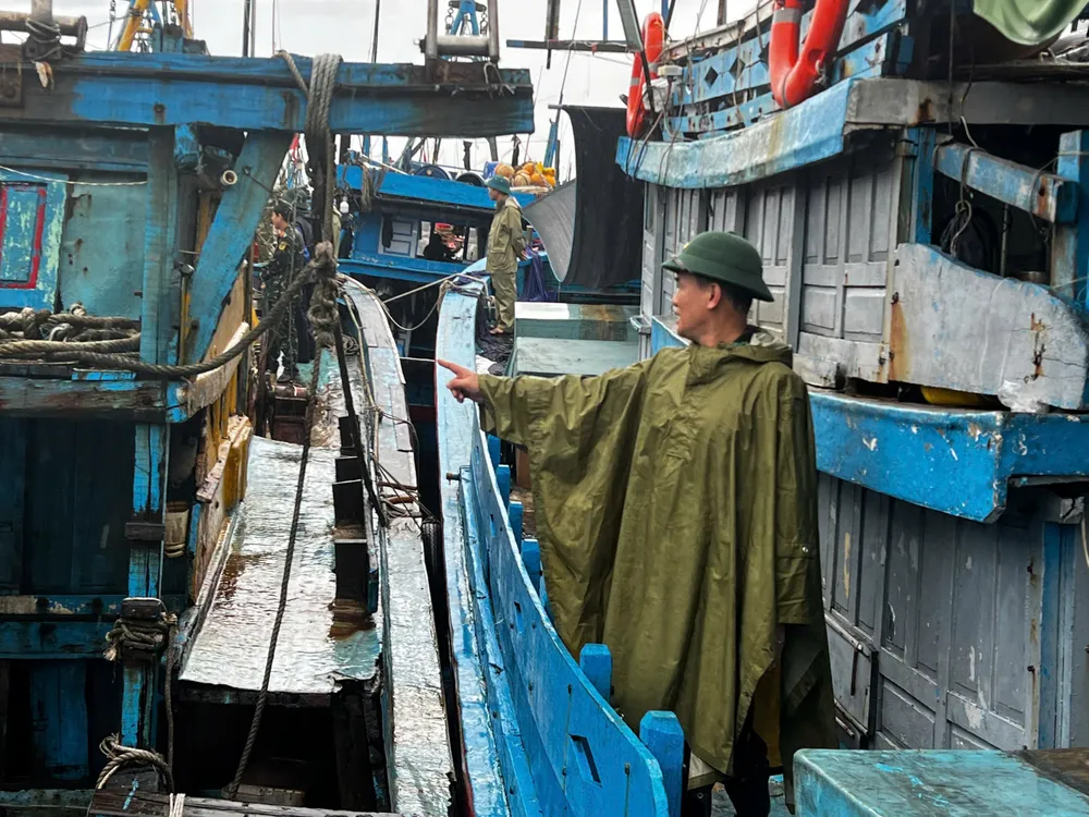 Kiểm tra việc neo đậu bên trong cảng cá. Ảnh: NGUYỄN TRANG