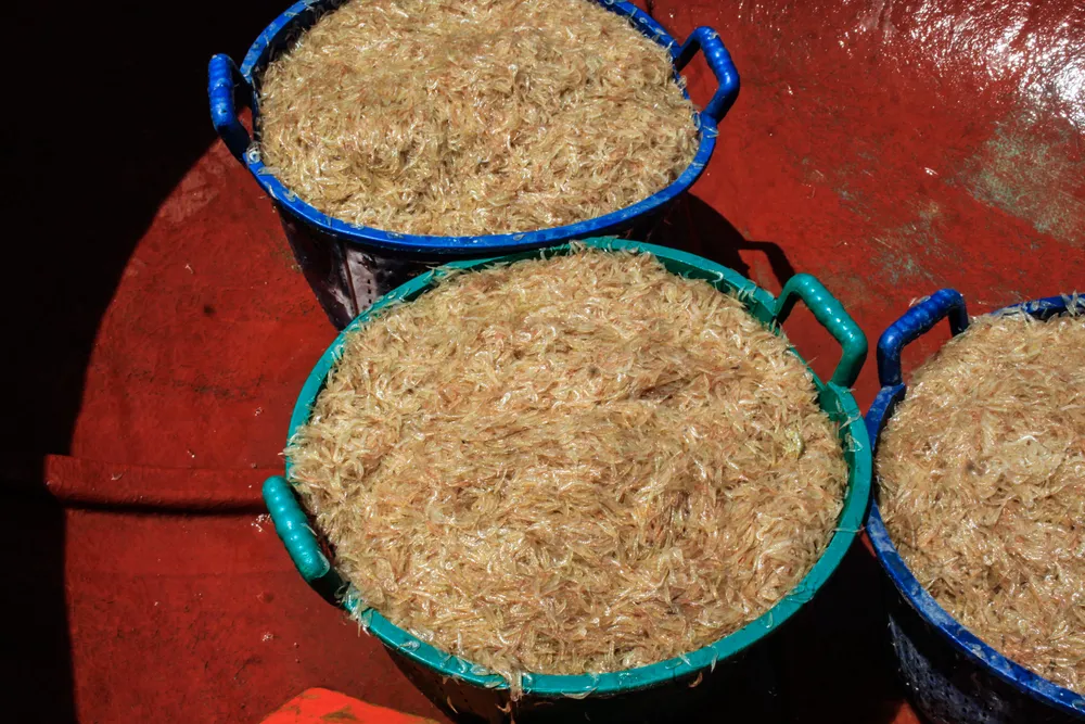 ruoc 10 (1 of 1).jpg