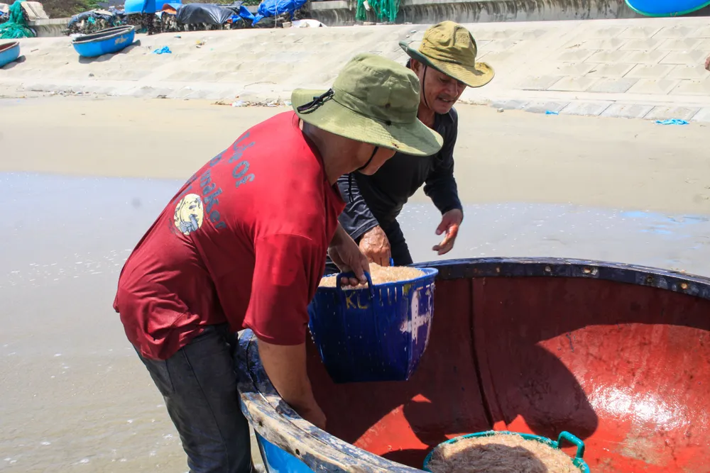 ruoc 12 (1 of 1).jpg