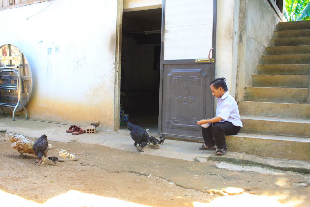 ti hon 25 (1 of 1).jpg