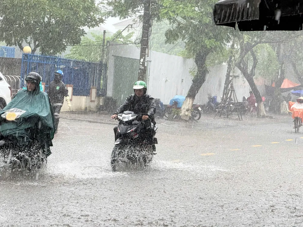 đông quảng ngãi (5).jpg