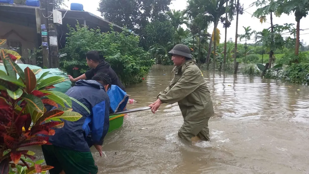 đông trà bồng (12).jpg