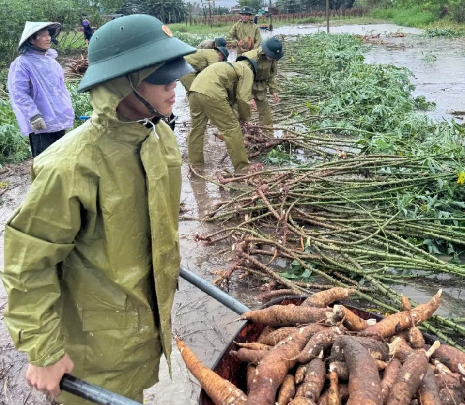 biên phòng đức minh (6).jpg