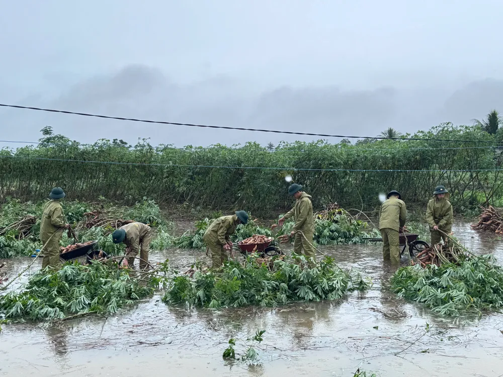 biên phòng đức minh (7).jpg