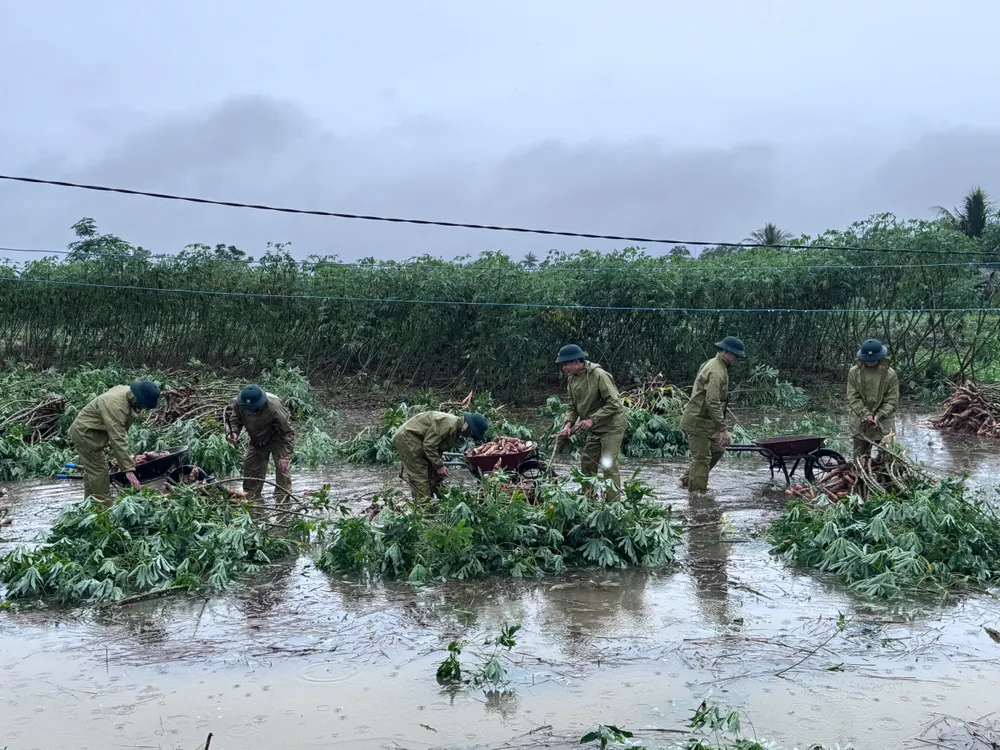 biên phòng đức minh (8).jpg