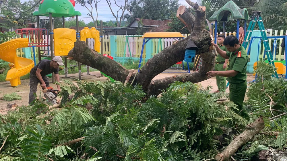 đông trà bồng (17).jpg