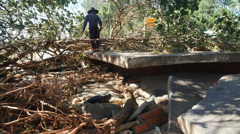 vạn tường (3).jpg