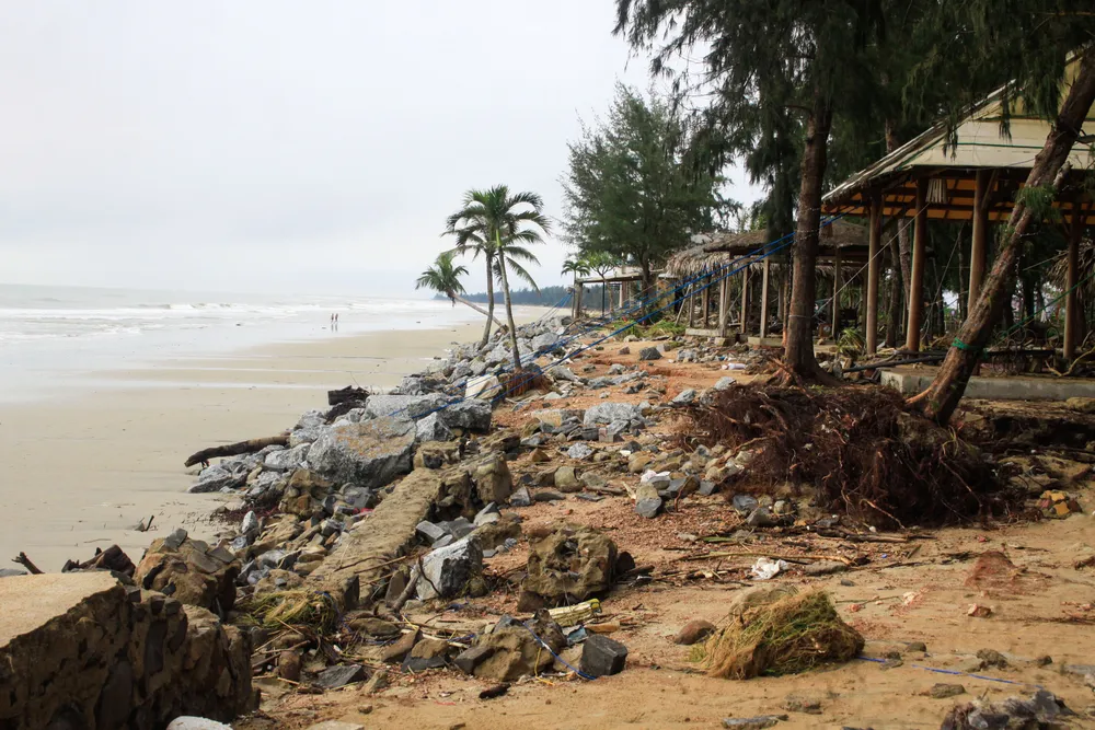 sau bao 1 (1 of 1).jpg