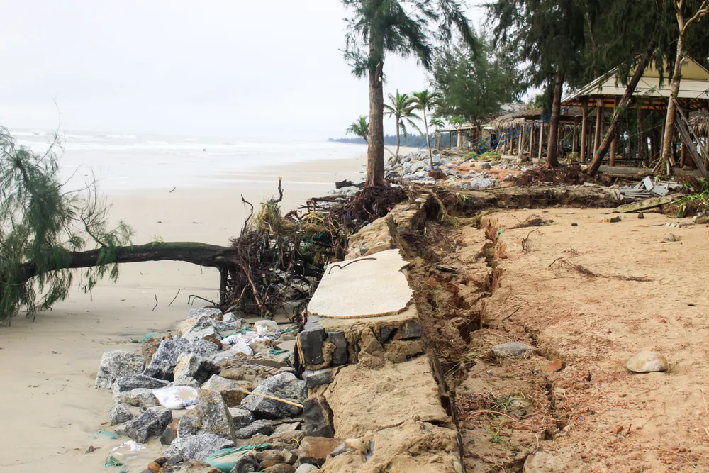 sau bao 2 (1 of 1).jpg