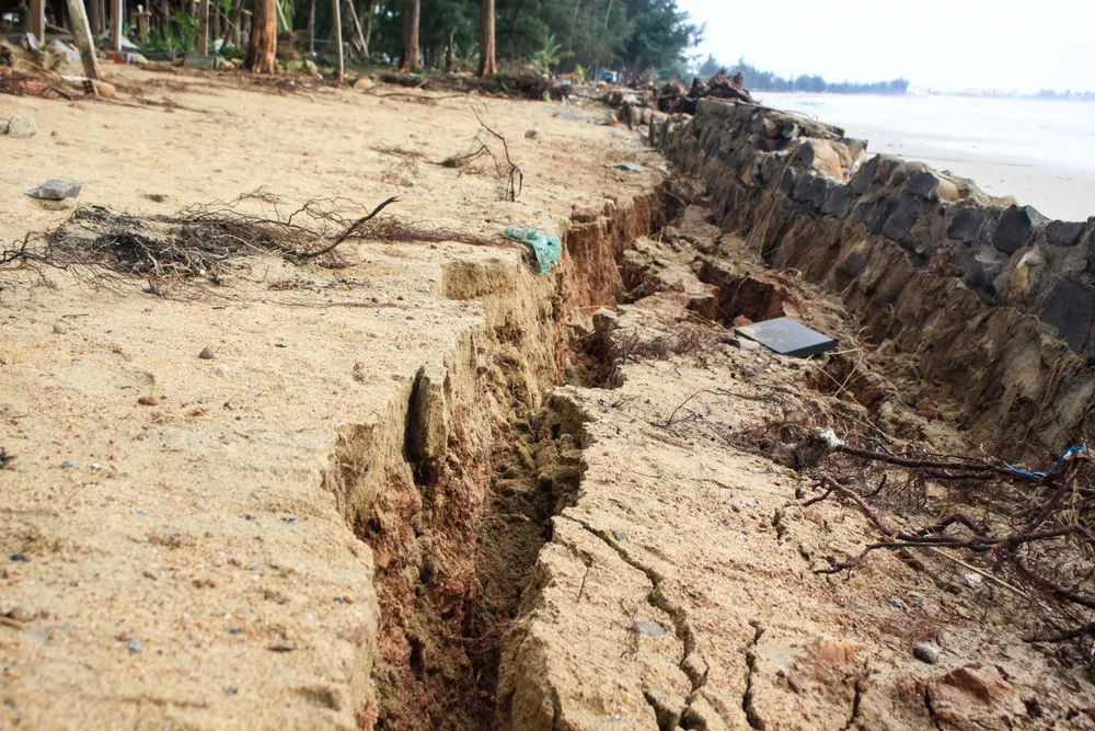 sau bao 3 (1 of 1).jpg